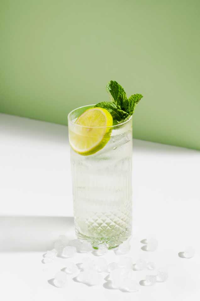 Gin con hiervabuena burbon